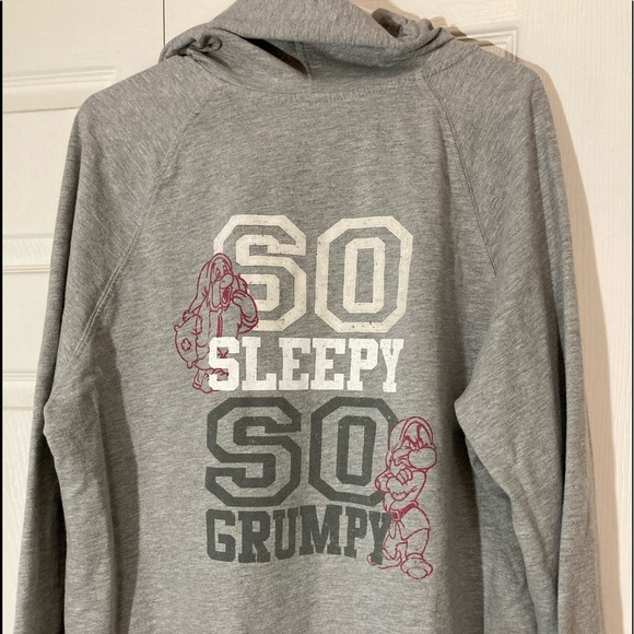 DISNEYLAND Walt Disney World Gray Hoodie 2XL